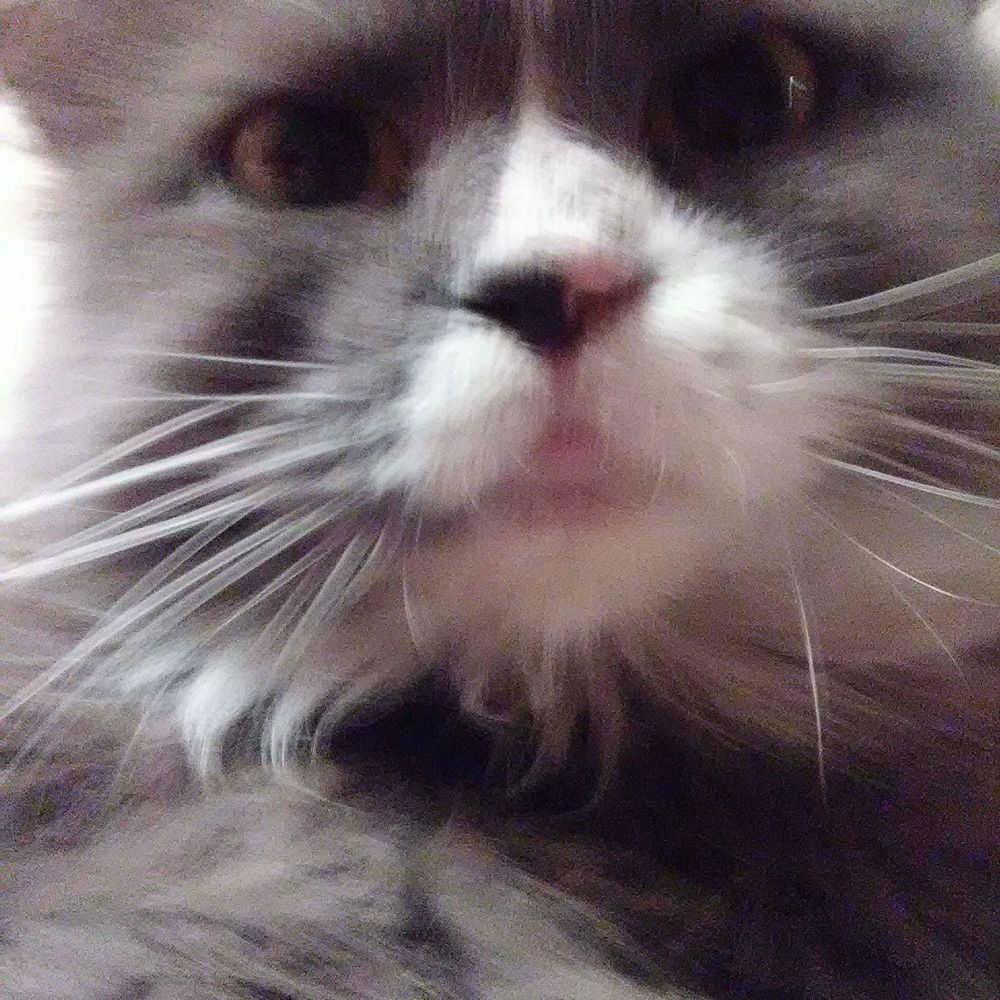 Meet your Posher, Debra